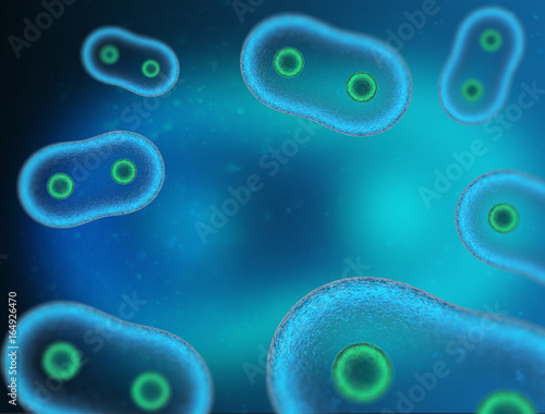 3D. Two Cell, embryo, Human Cell. and Cell division on a dark blue background. 3d render.