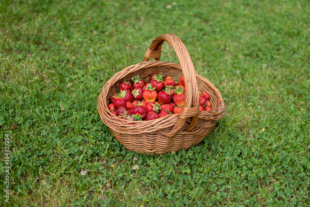 sweet and soft strawberries sweet and soft strawberries