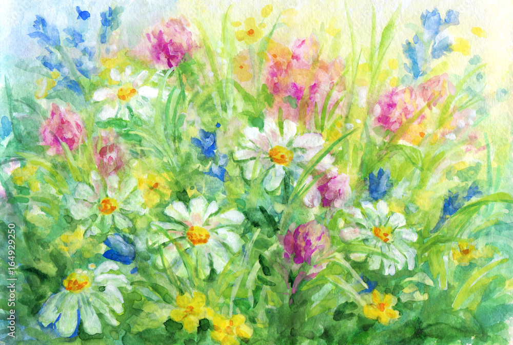 Obraz Dzikie kwiaty - obraz tła akwarela.