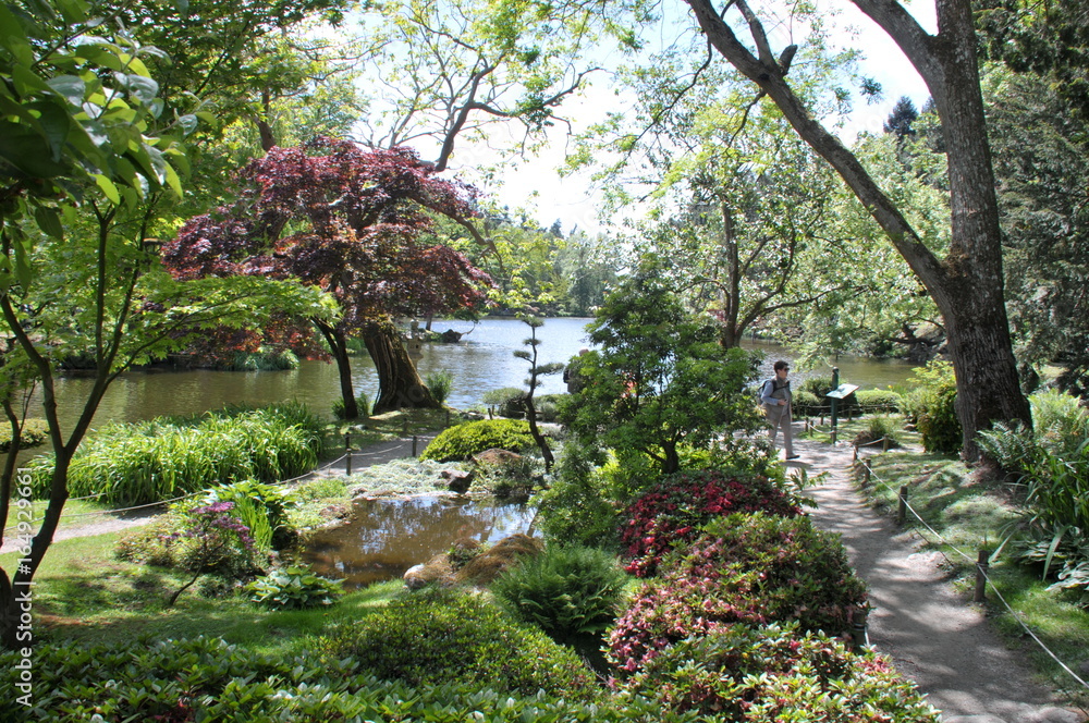 jardin Japonais jardin Japonais