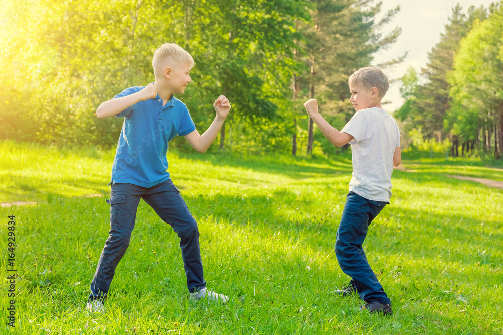Two blond boys fighting in the park, sunny Photos | Adobe Stock