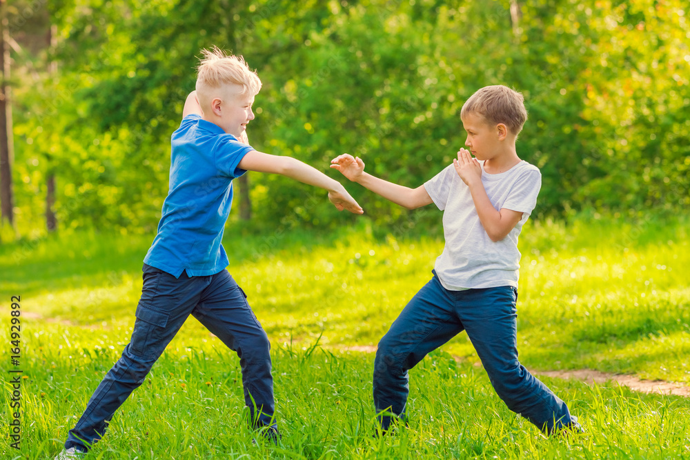 Two blond boys practicing martial arts in a green summer park. Toned Two blond boys practicing martial arts in a green summer park. Toned