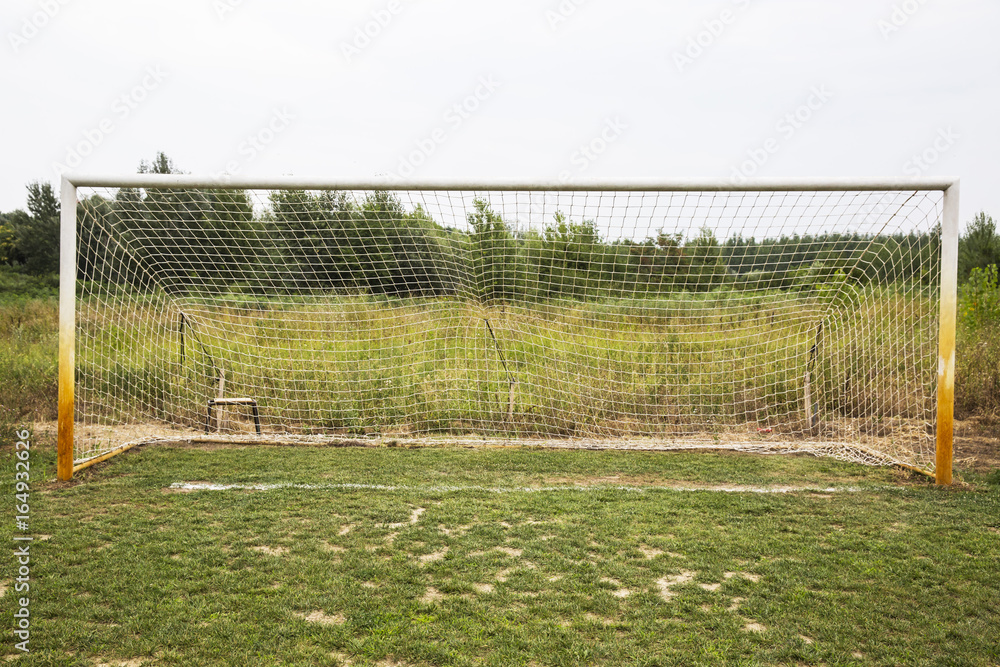Fototapeta premium soccer field grass Goal at the stadium Soccer field