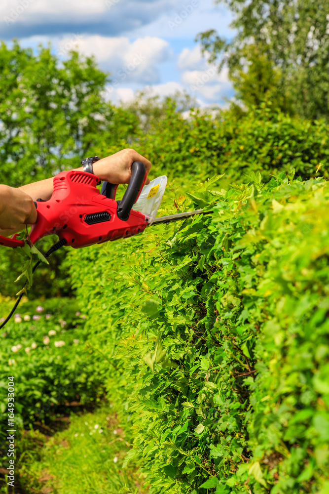 Obraz premium mowing hedges