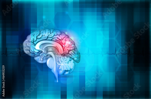 Human brain abstract blue background, beautiful colorful illustration detailed anatomy
