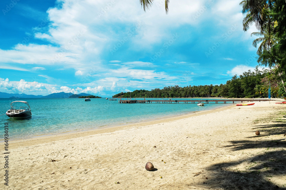 Fototapeta premium Beach and pier