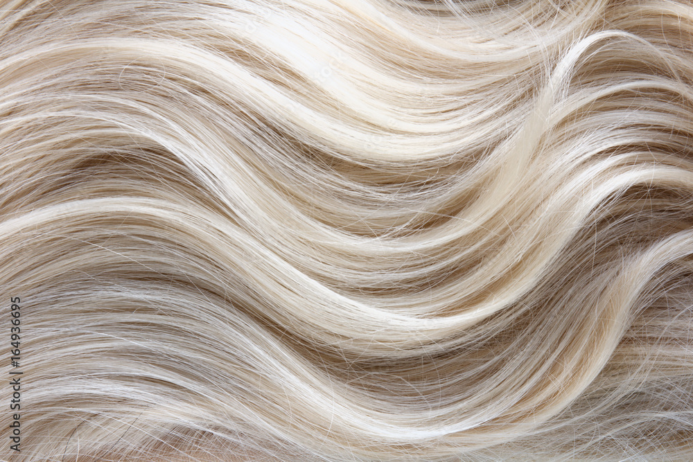 Female blonde curly  hair texture - obrazy, fototapety, plakaty 