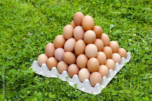 Obraz na płótnie carton box with chicken eggs
