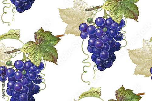 Botanical seamless pattern with grapes.