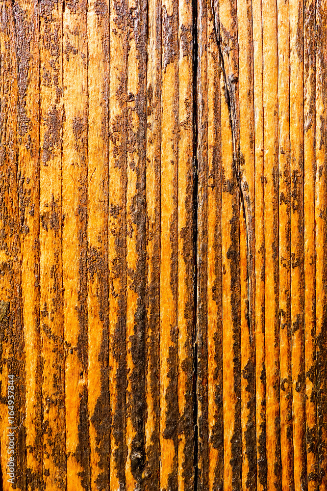 wood grungy background with space for your design wood grungy background with space for your design