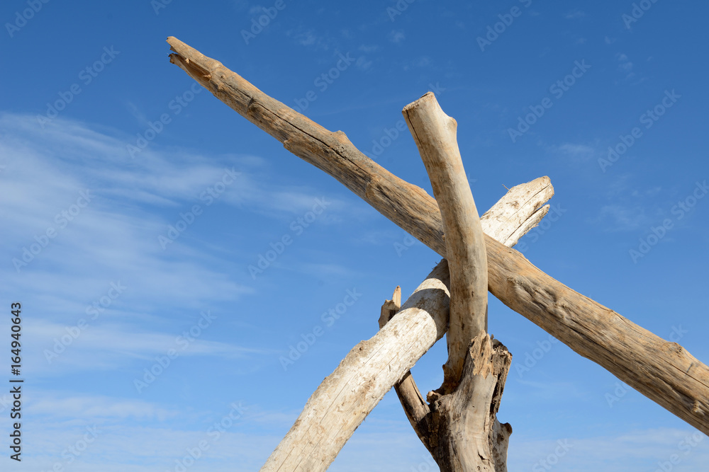 Gebaut aus Treibholz