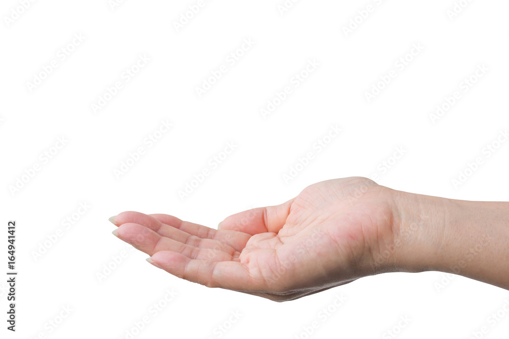 Hand of a woman isolated on white background. Copy space. Hand of a woman isolated on white background. Copy space.