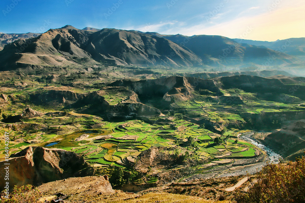 Fototapeta premium Odmienne tarasy w kanionie Colca w Peru