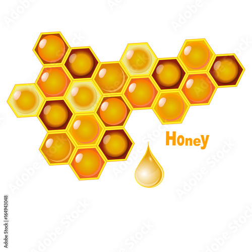 Vector honey combs background design elements isolated over white background