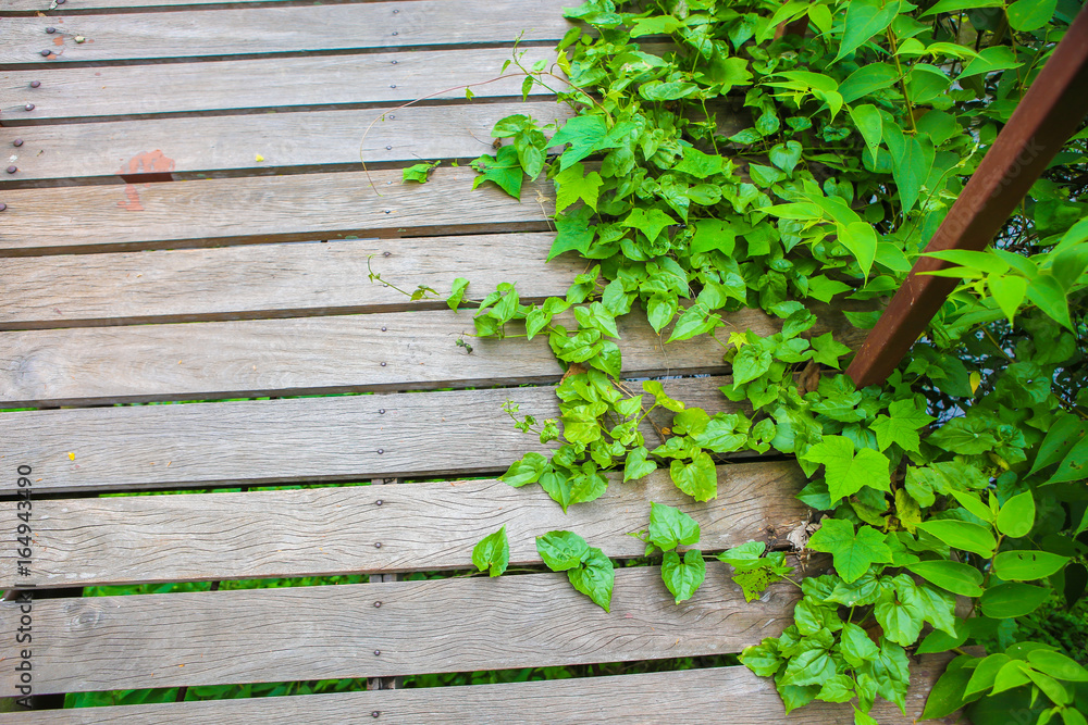 Wood bridge Wood bridge