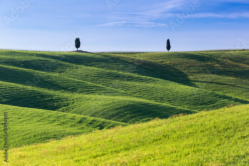 SAN QUIRICO D'ORCIA, TUSCANY ITALY with rolling hills and tuscan cypress trees. Located in Val D'Orcia countryside. photo