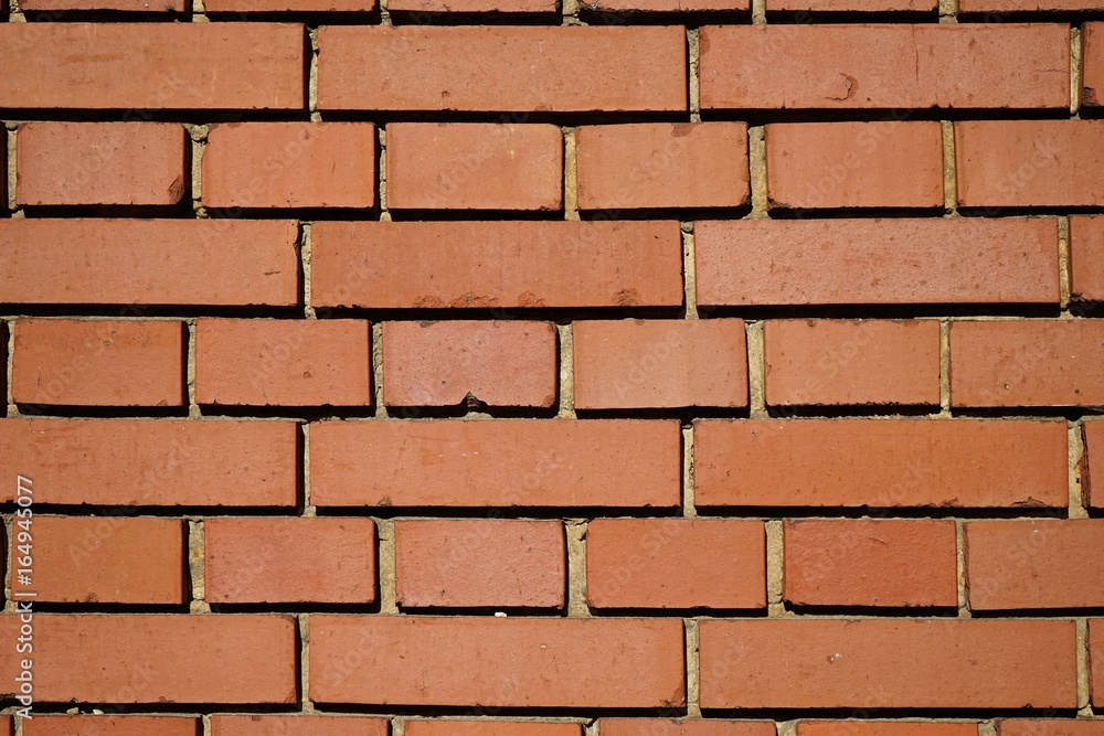 Obraz premium Backsteinmauer