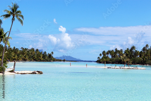 Motu Tahaa - coral garden