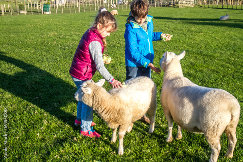 young kids taking care of animals on a farm photo