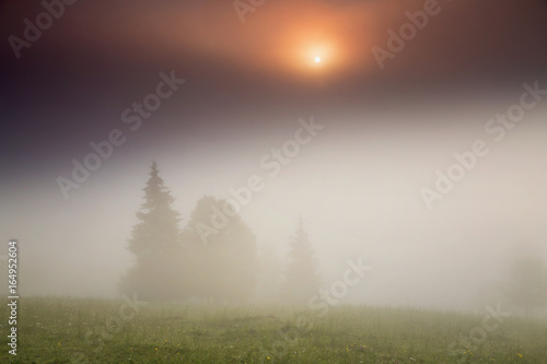 Beautiful mountain foggy sunrise at the forest edge