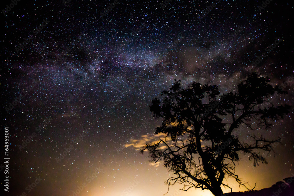 Midnight Milky Way Galaxy Midnight Milky Way Galaxy