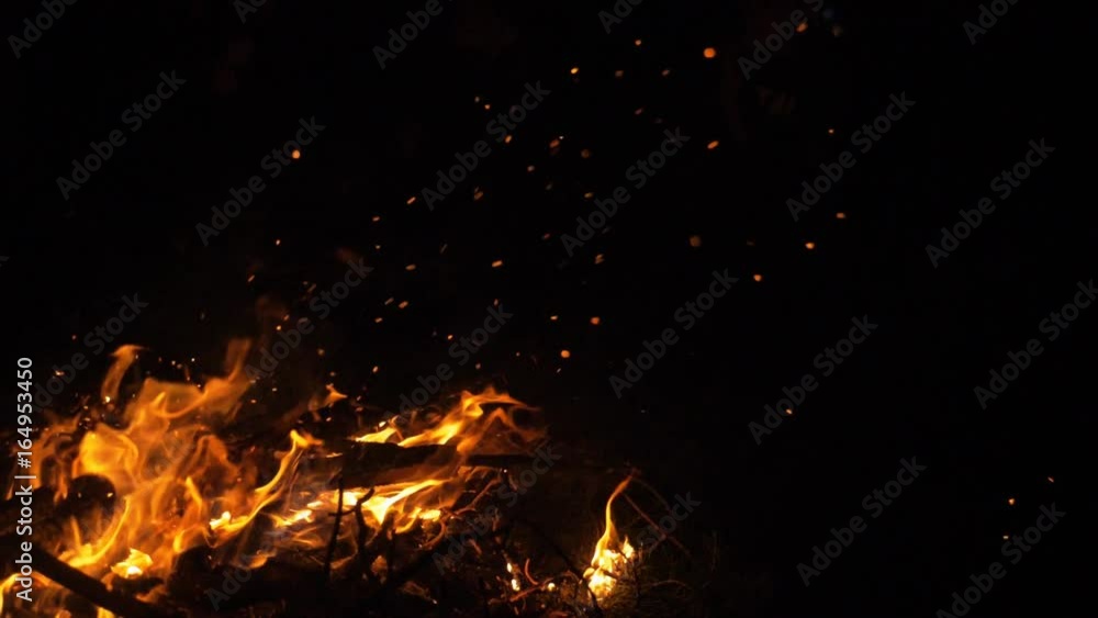 Fire in nature. Bokeh from the fire. Fire in nature. Bokeh from the fire.
