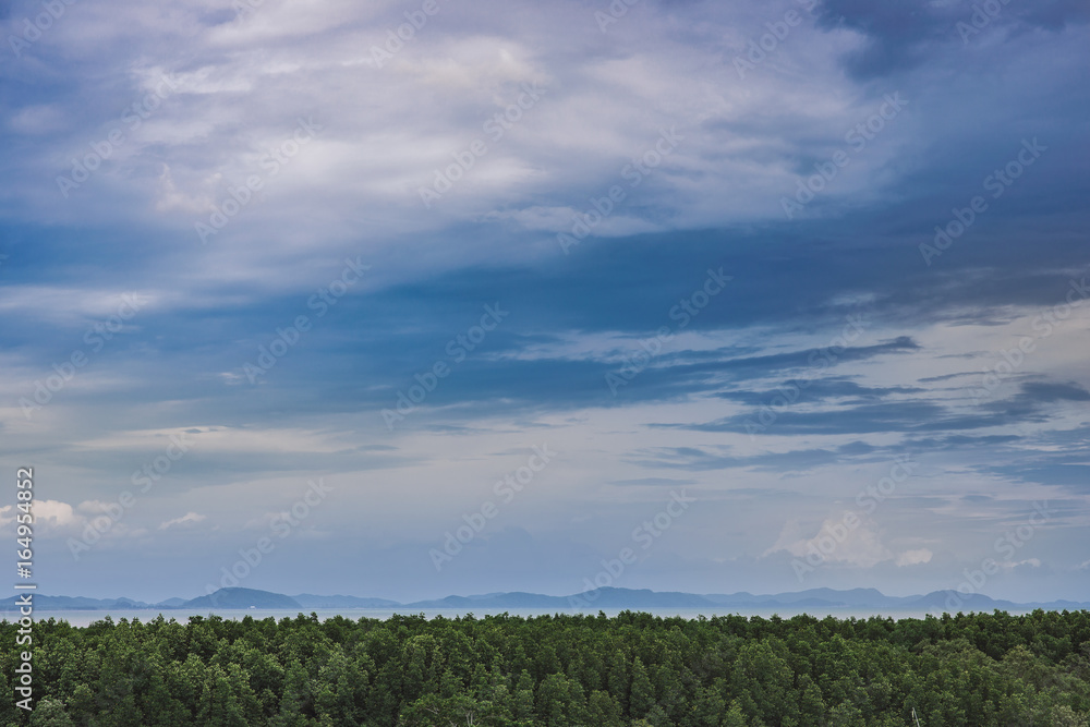 sky above green forest