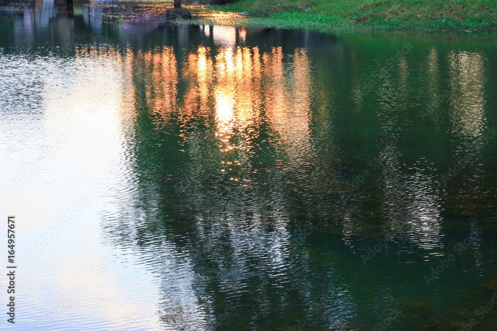 reflection river and shadow tree in water beautiful sunset nature reflection river and shadow tree in water beautiful sunset nature