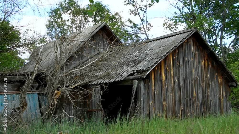 An empty wooden house and a barn are destroyed under the influence of time. Chernobyl An empty wooden house and a barn are destroyed under the influence of time. Chernobyl