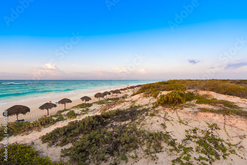 View of the morning beach of the island Cayo Largo  Cuba. Copy space for text.