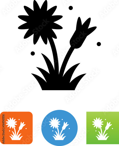 Dandelion Icon - Illustration