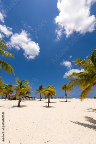 White sand and palm trees on the beach Playa Sirena, Cayo Largo, Cuba. Copy space for text. Vertical.
