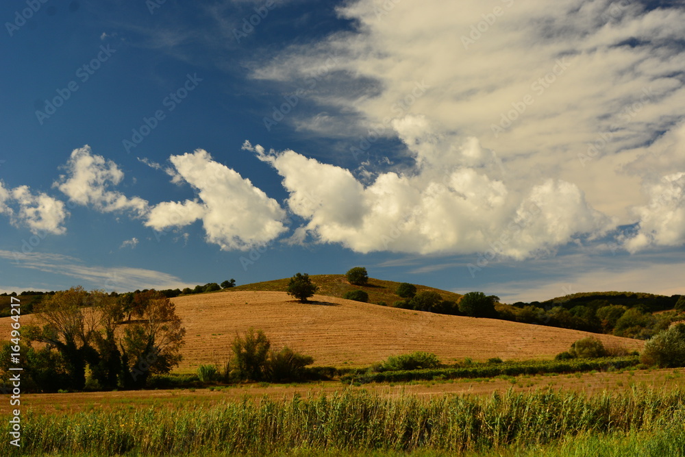 Obraz premium artistico