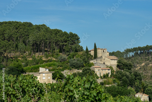 Obraz na plátně Dörfchen zwischen Weinbergen in Südfrankreich