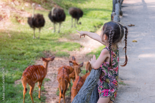 kid girl enjoy and happy on trip of trveling in the public opening zoo photo