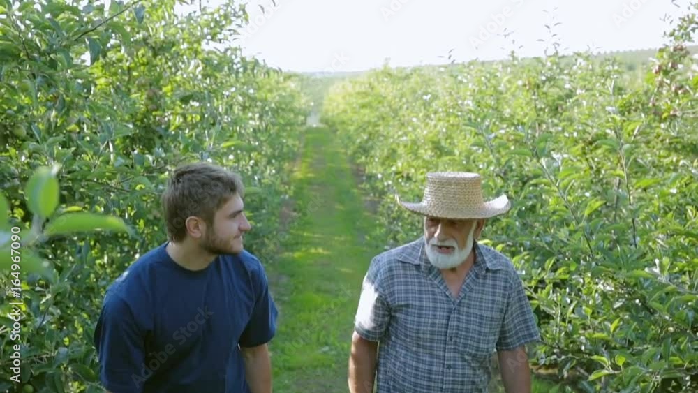 Portrait of a happy grandfather and grandchild who go to the garden and talk. An old and young gardener with a beard. Similar to the appearance Portrait of a happy grandfather and grandchild who go to the garden and talk. An old and young gardener with a beard. Similar to the appearance