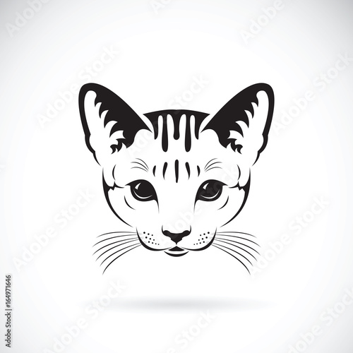 Vector of a cat face on white background, Pet. Animals.