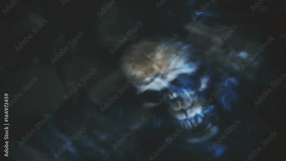 Skull on the seashore, the river is washed by waves Skull on the seashore, the river is washed by waves