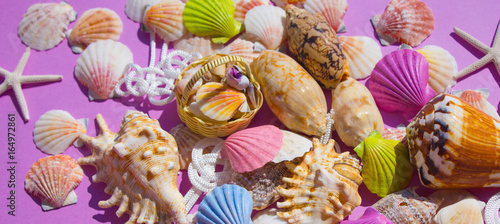 Composition of exotic sea shells  boat  lighthouse  nautical knots  gulls on a purple background. The view from the top. Place for your text.