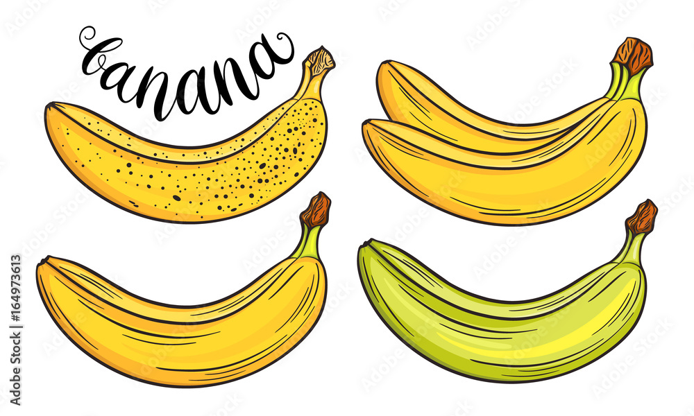 Hand drawn bananas set, isolated on white background. Decorative doodle vector illustration Hand drawn bananas set, isolated on white background. Decorative doodle vector illustration