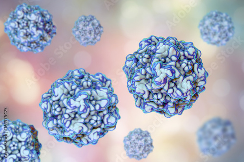 Canvas Print Feline panleukopenia virus, also called as feline infectious enteritis virus or cat plague