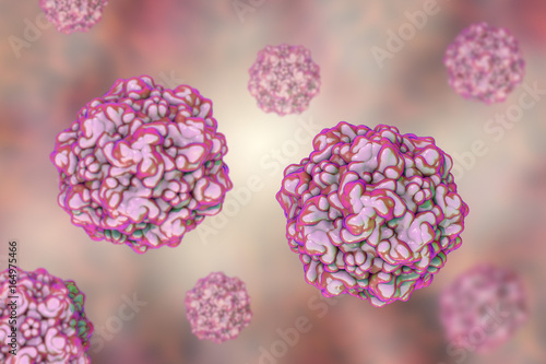 Feline panleukopenia virus, also called as feline infectious enteritis virus or cat plague. 3D illustration photo