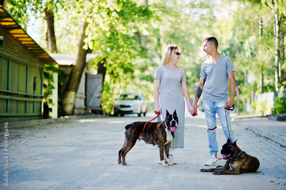 Couple in love with two dogs pit bull terrier on a walk.