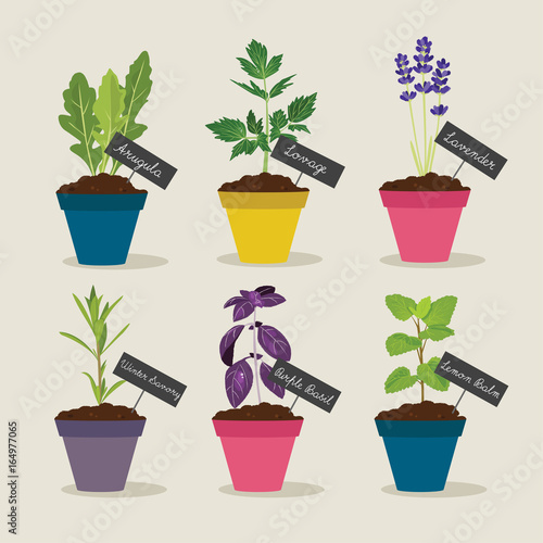 Herb garden with pots of herbs set 4