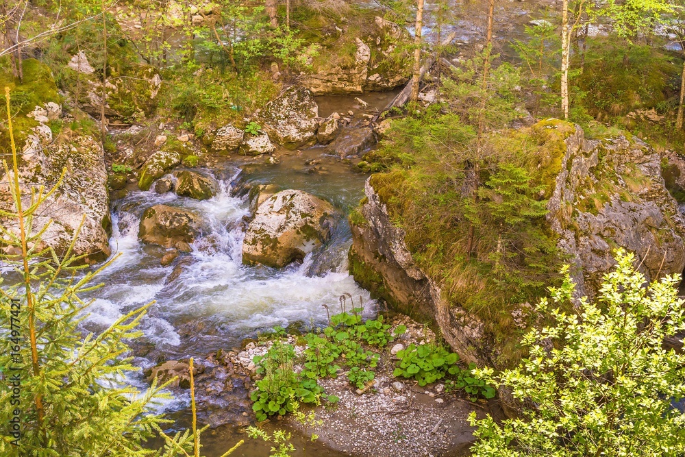 Mountain stream with stones in forest - Cheile Bicazului, Transylvania, Romania Mountain stream with stones in forest - Cheile Bicazului, Transylvania, Romania