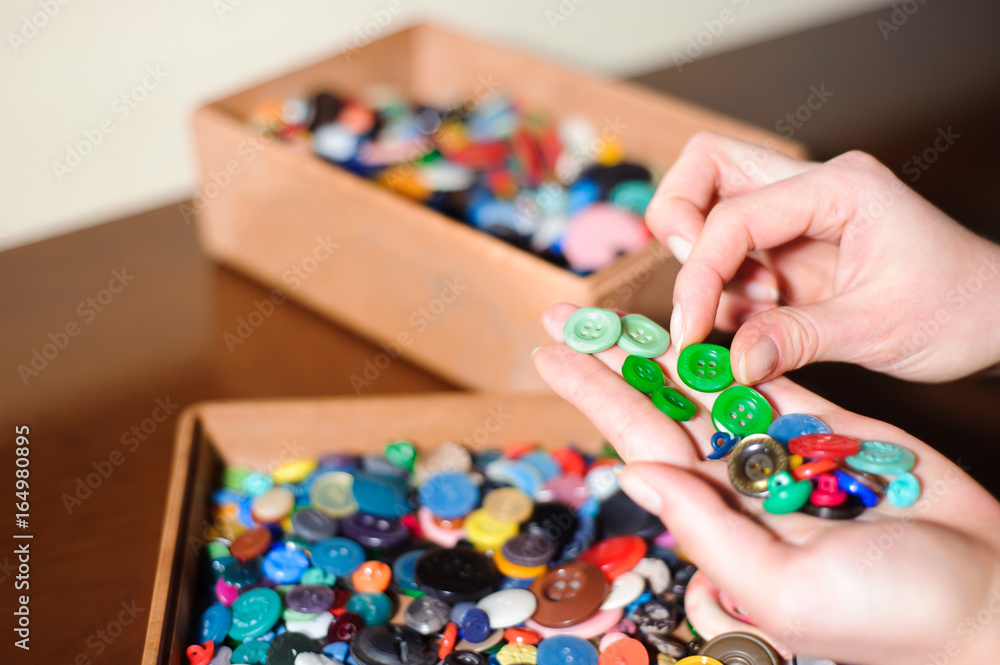 colorful sewing buttons in the hands, selection of the right buttons colorful sewing buttons in the hands, selection of the right buttons