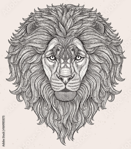 Lion head hand drawn in lines isolated on white background. Decorative doodle vector illustration. Perfect for postcard  poster  print  greeting card  t-shirt  phone case design