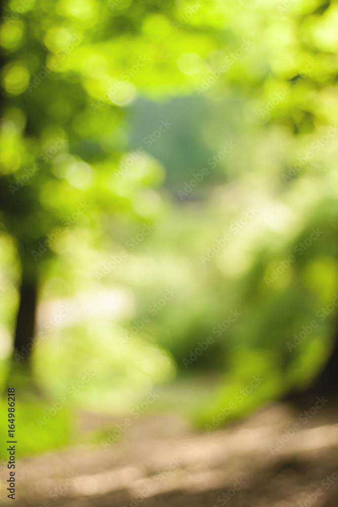 Blurry nature wallpaper. Forest bokeh background. Vertical defocused backdop.