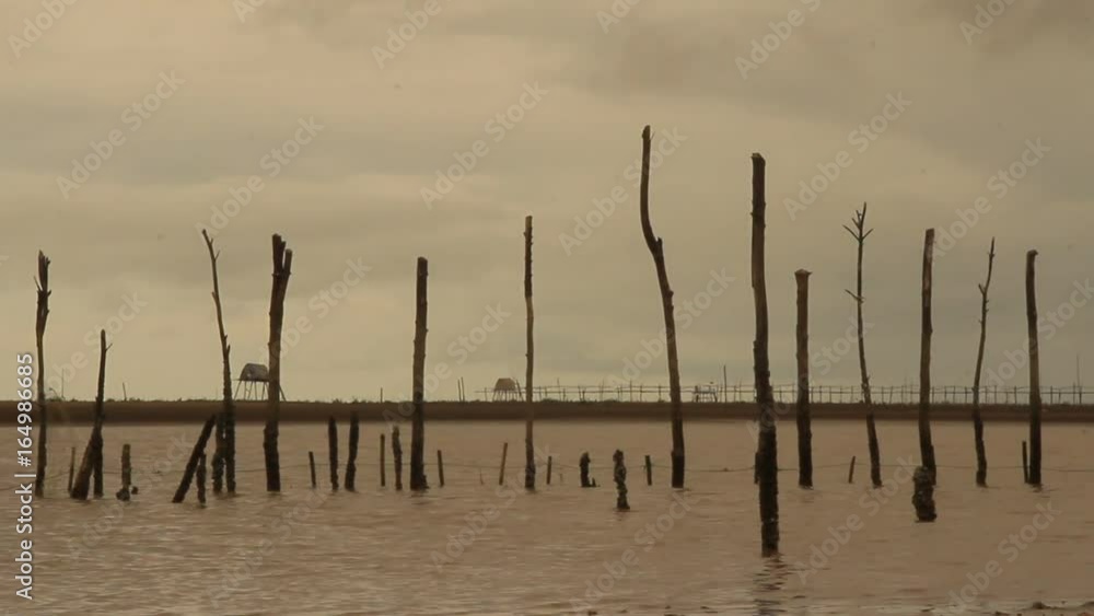 Wooden stakes on the beach
