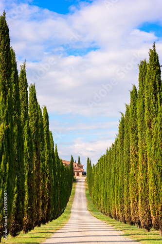 Beautiful Tuscany landscape